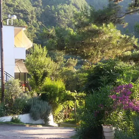 Lejlighedshotel Dimitra 3*