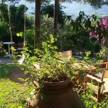 아파트호텔 Dimitra 3*