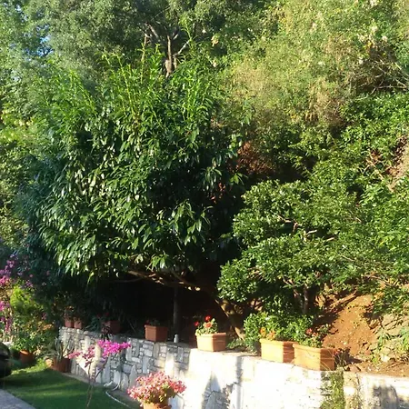 아파트호텔 Dimitra 스칼라 포타미아스