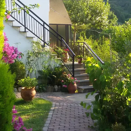 Dimitra 3* 스칼라 포타미아스