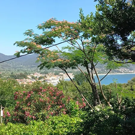 Hotel apartamentowy Dimitra *