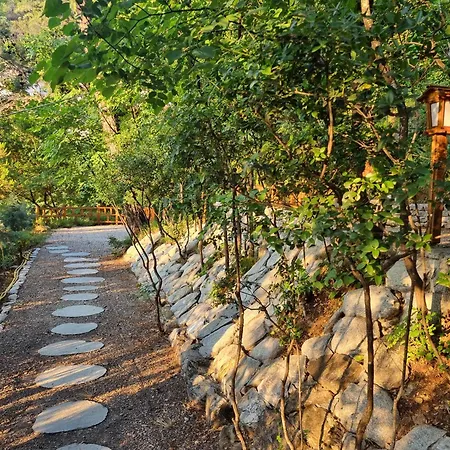 Dimitra 아파트호텔 스칼라 포타미아스