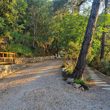 아파트호텔 Dimitra 스칼라 포타미아스