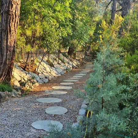 아파트호텔 Dimitra 3*