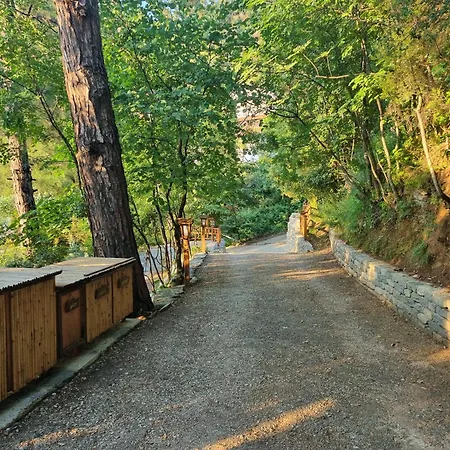 Dimitra 스칼라 포타미아스