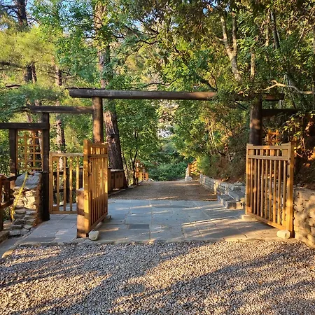 Dimitra 아파트호텔