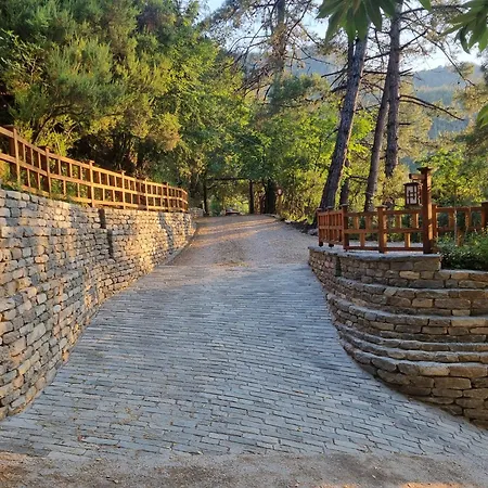 Hotel apartamentowy Dimitra