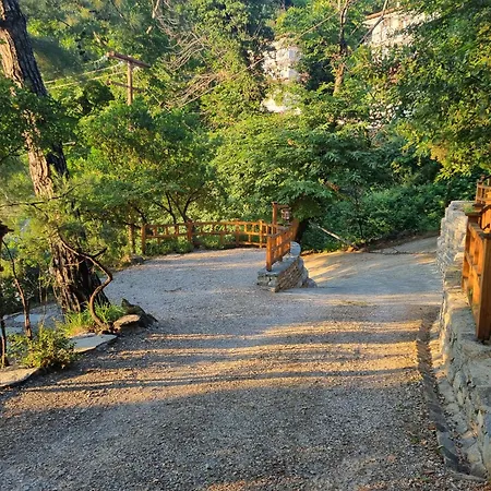 Dimitra 3* 스칼라 포타미아스