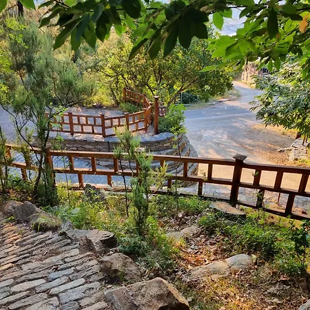 Dimitra 아파트호텔