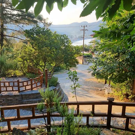 Dimitra 아파트호텔 스칼라 포타미아스