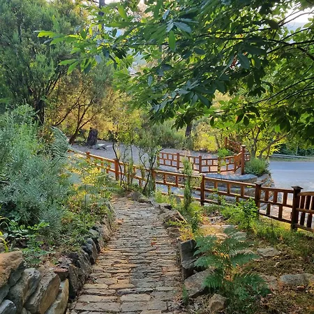 아파트호텔 Dimitra 스칼라 포타미아스