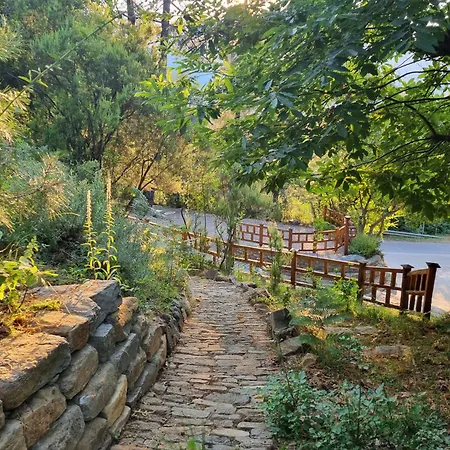 Dimitra 스칼라 포타미아스