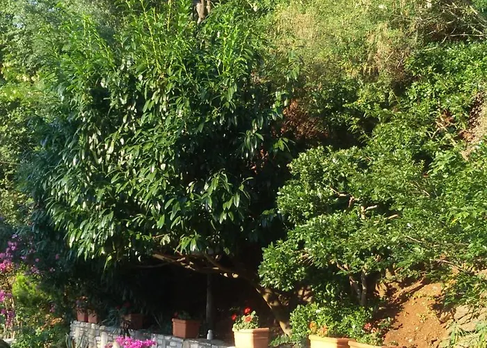 Apart-hotel Dimitra Skala Potamias