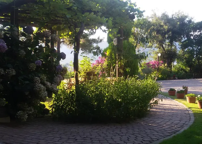 Dimitra Apart-hotel Skala Potamias