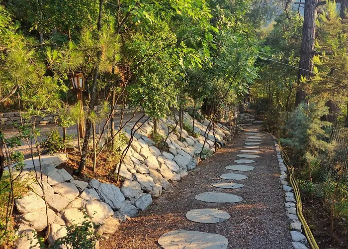 Dimitra Apart-hotel Skala Potamias