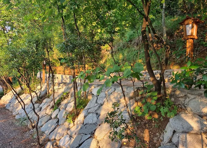 Dimitra Apart-hotel Skala Potamias