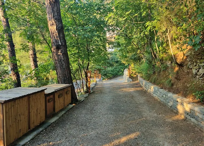 Dimitra Skala Potamias