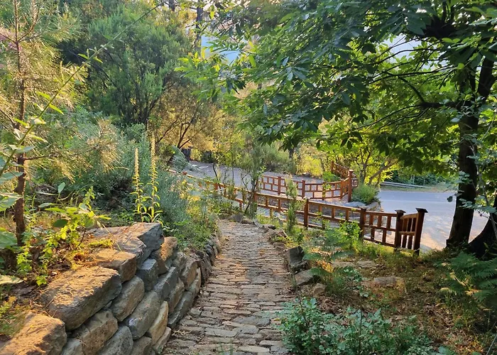 Dimitra Skala Potamias